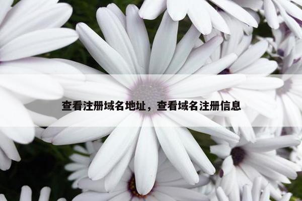 查看注册域名地址，查看域名注册信息