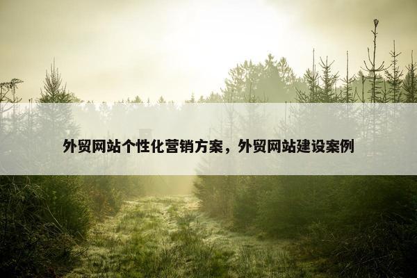 外贸网站个性化营销方案，外贸网站建设案例