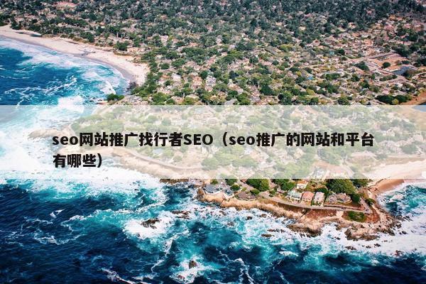 seo网站推广找行者SEO（seo推广的网站和平台有哪些）