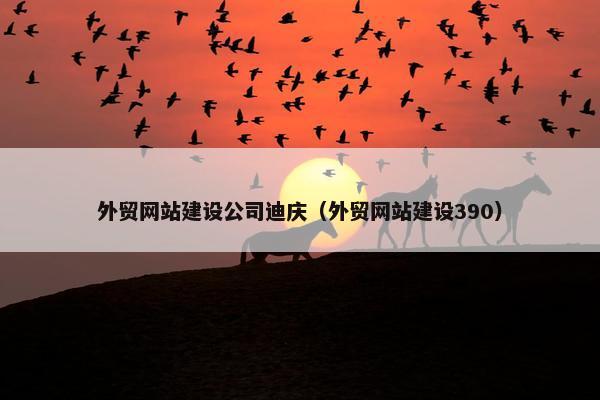 外贸网站建设公司迪庆（外贸网站建设390）