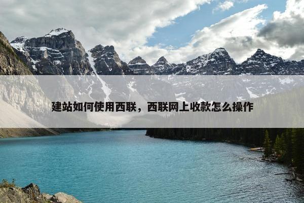 建站如何使用西联，西联网上收款怎么操作