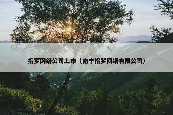 指梦网络公司上市（南宁指梦网络有限公司）