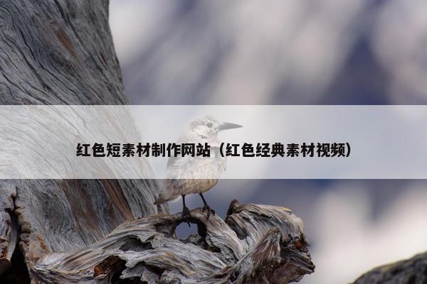 红色短素材制作网站（红色经典素材视频）