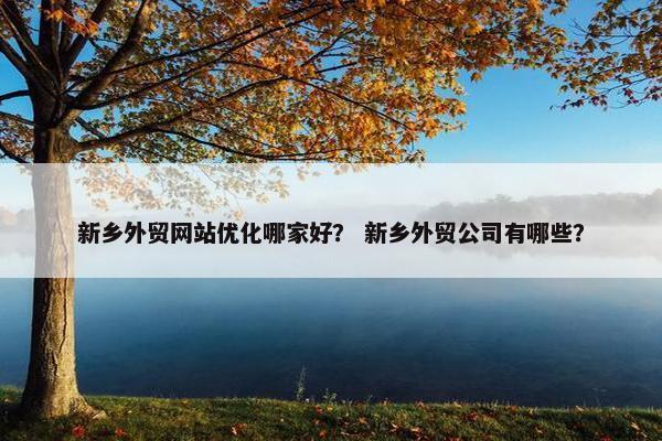 新乡外贸网站优化哪家好？ 新乡外贸公司有哪些？