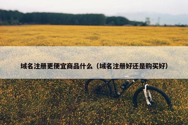 域名注册更便宜商品什么（域名注册好还是购买好）