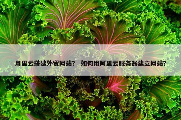 用里云搭建外贸网站？ 如何用阿里云服务器建立网站？
