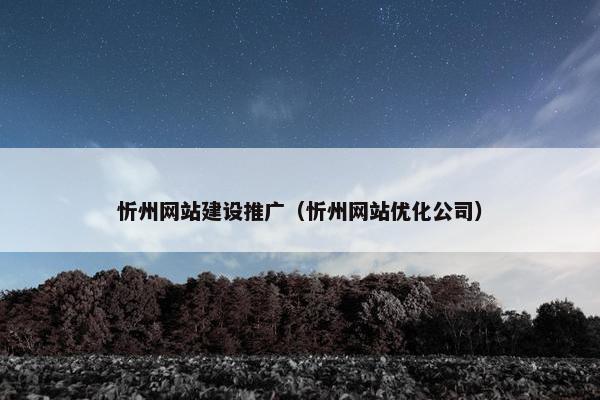 忻州网站建设推广（忻州网站优化公司）