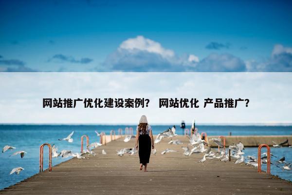 网站推广优化建设案例？ 网站优化 产品推广？