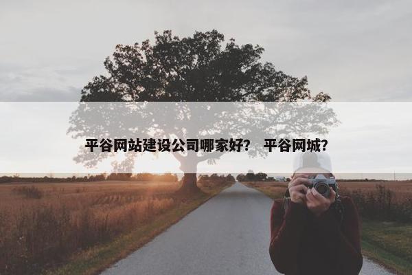 平谷网站建设公司哪家好？ 平谷网城？
