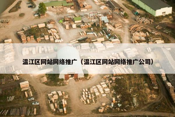 温江区网站网络推广（温江区网站网络推广公司）