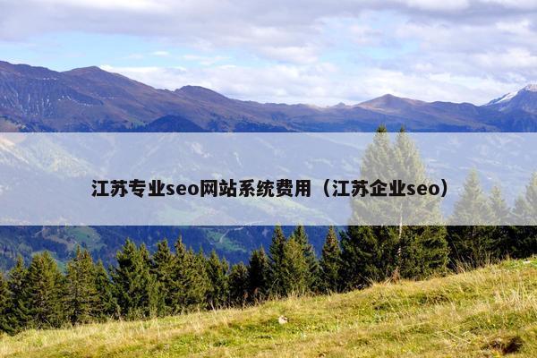 江苏专业seo网站系统费用（江苏企业seo）