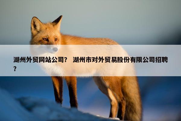 湖州外贸网站公司？ 湖州市对外贸易股份有限公司招聘？