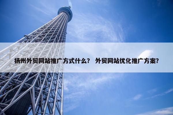 扬州外贸网站推广方式什么？ 外贸网站优化推广方案？