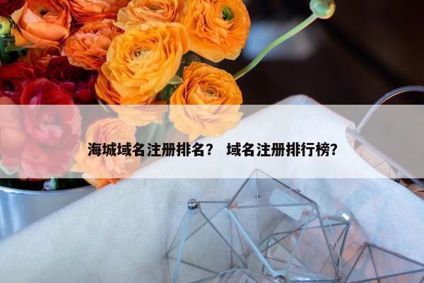 海城域名注册排名？ 域名注册排行榜？
