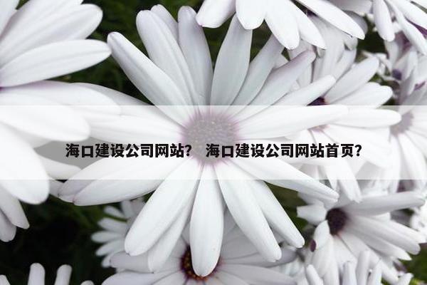 海口建设公司网站？ 海口建设公司网站首页？