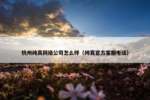 杭州纯真网络公司怎么样（纯真官方客服电话）