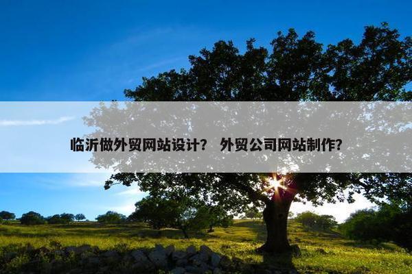临沂做外贸网站设计？ 外贸公司网站制作？