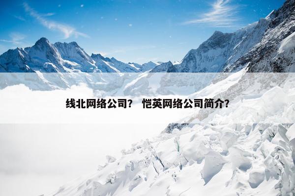 线北网络公司？ 恺英网络公司简介？