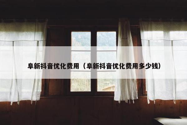 阜新抖音优化费用（阜新抖音优化费用多少钱）