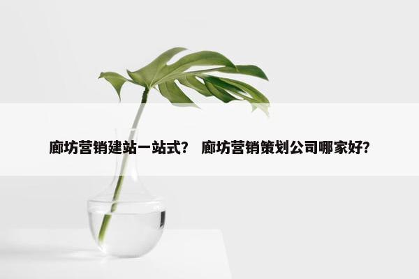 廊坊营销建站一站式？ 廊坊营销策划公司哪家好？