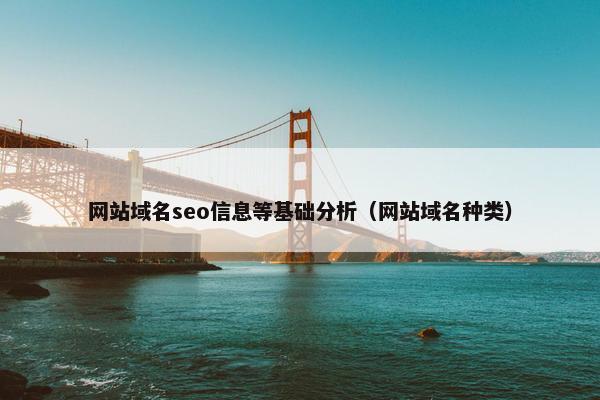 网站域名seo信息等基础分析（网站域名种类）