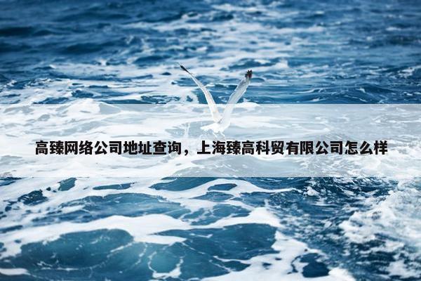 高臻网络公司地址查询，上海臻高科贸有限公司怎么样