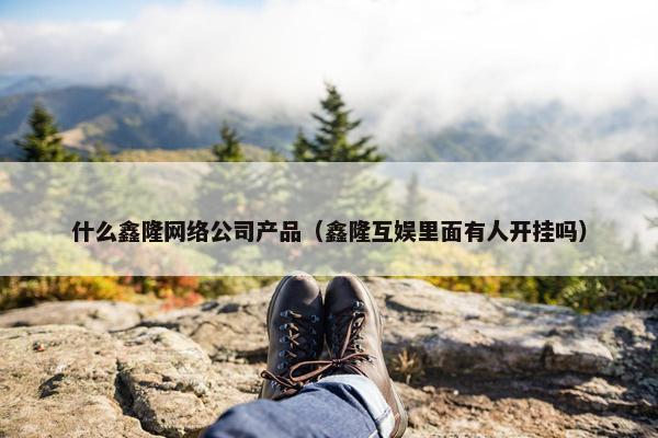 什么鑫隆网络公司产品（鑫隆互娱里面有人开挂吗）