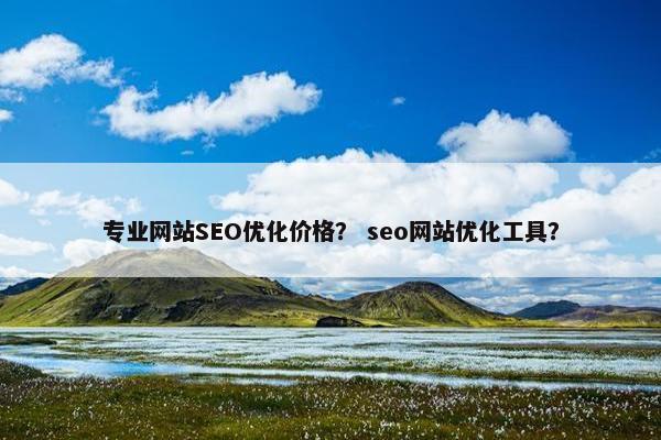 专业网站SEO优化价格？ seo网站优化工具？
