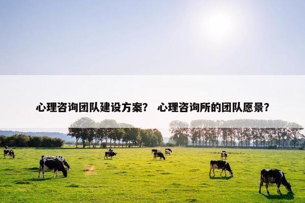 心理咨询团队建设方案？ 心理咨询所的团队愿景？