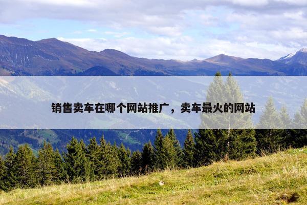 销售卖车在哪个网站推广，卖车最火的网站