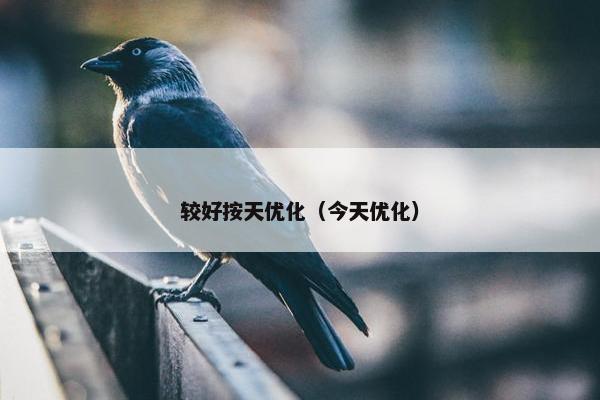较好按天优化（今天优化）