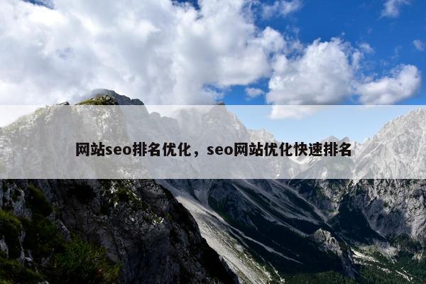 网站seo排名优化，seo网站优化快速排名