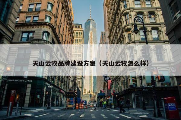 天山云牧品牌建设方案（天山云牧怎么样）