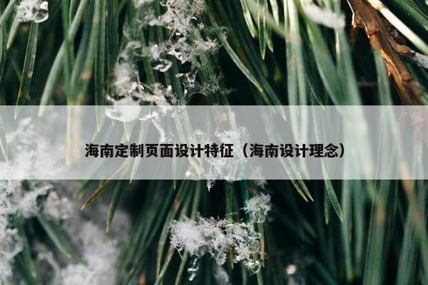 海南定制页面设计特征（海南设计理念）