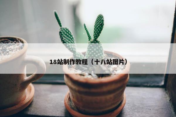18站制作教程（十八站图片）