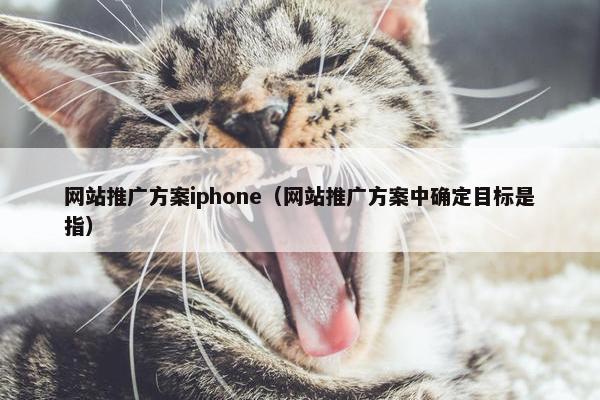 网站推广方案iphone（网站推广方案中确定目标是指）