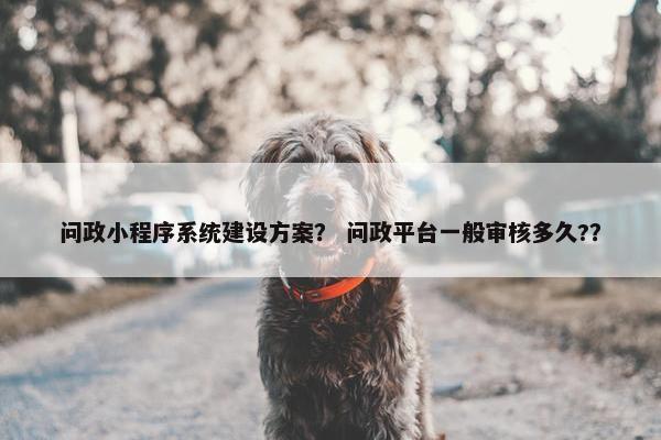问政小程序系统建设方案？ 问政平台一般审核多久?？