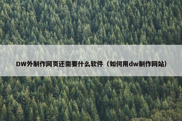 DW外制作网页还需要什么软件（如何用dw制作网站）