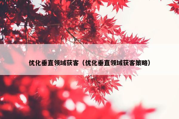 优化垂直领域获客（优化垂直领域获客策略）