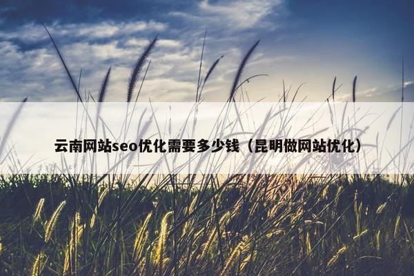 云南网站seo优化需要多少钱（昆明做网站优化）