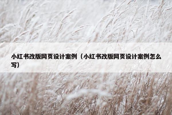 小红书改版网页设计案例（小红书改版网页设计案例怎么写）