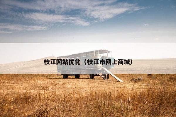 枝江网站优化（枝江市网上商城）