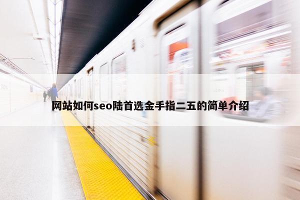 网站如何seo陆首选金手指二五的简单介绍