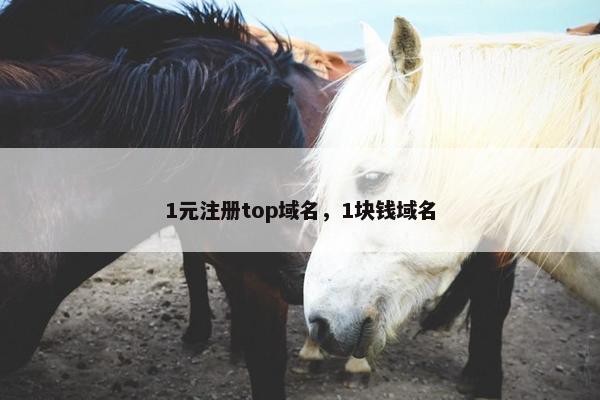 1元注册top域名，1块钱域名