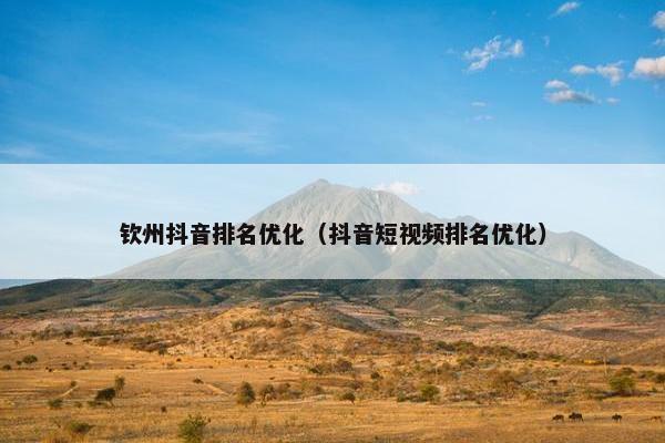 钦州抖音排名优化（抖音短视频排名优化）