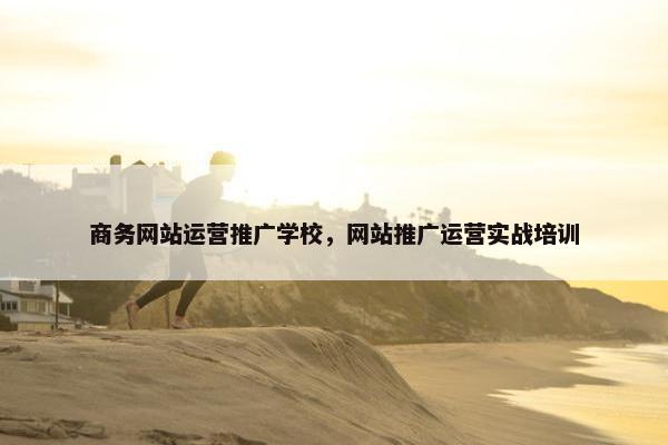 商务网站运营推广学校，网站推广运营实战培训