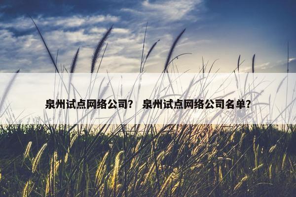 泉州试点网络公司？ 泉州试点网络公司名单？