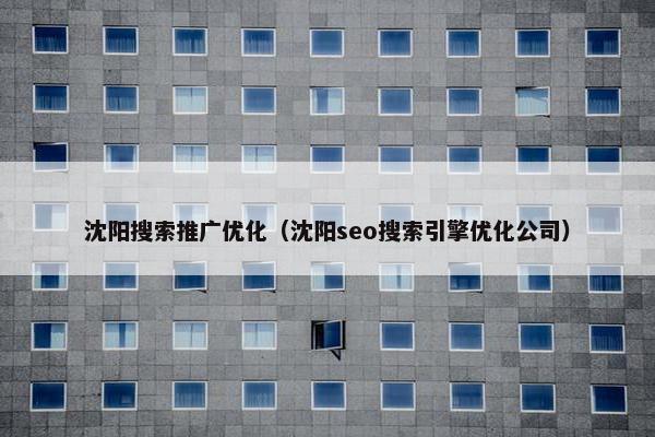 沈阳搜索推广优化（沈阳seo搜索引擎优化公司）