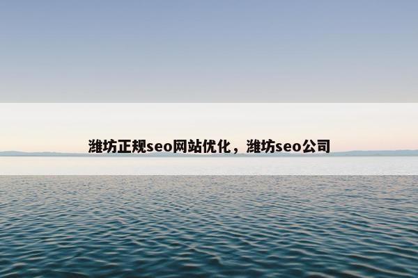 潍坊正规seo网站优化，潍坊seo公司