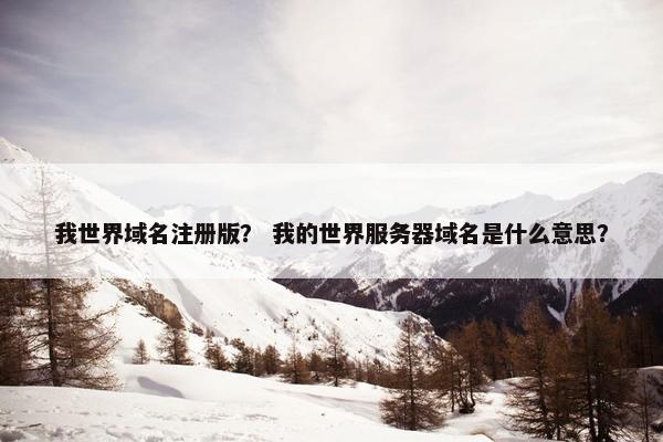 我世界域名注册版？ 我的世界服务器域名是什么意思？